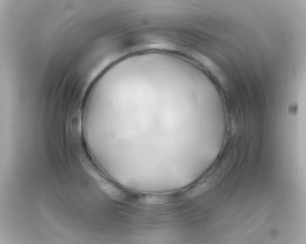 X0000091501274200709061915