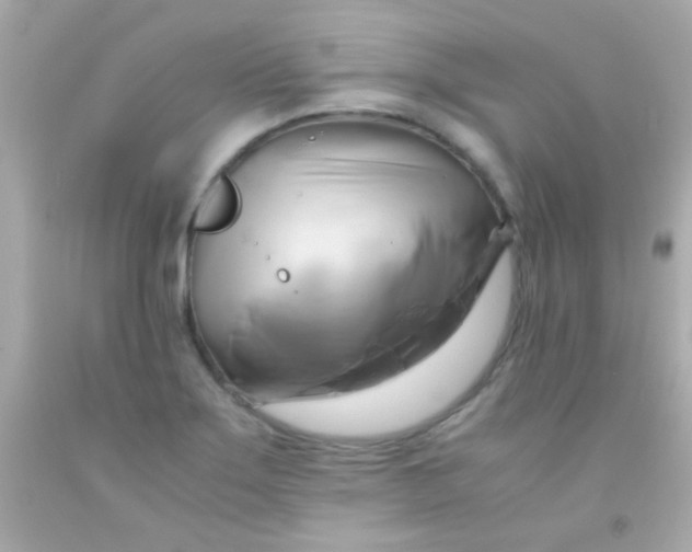 X0000091501275200709061915