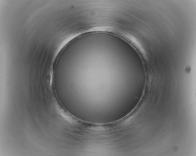 X0000091501276200709061915