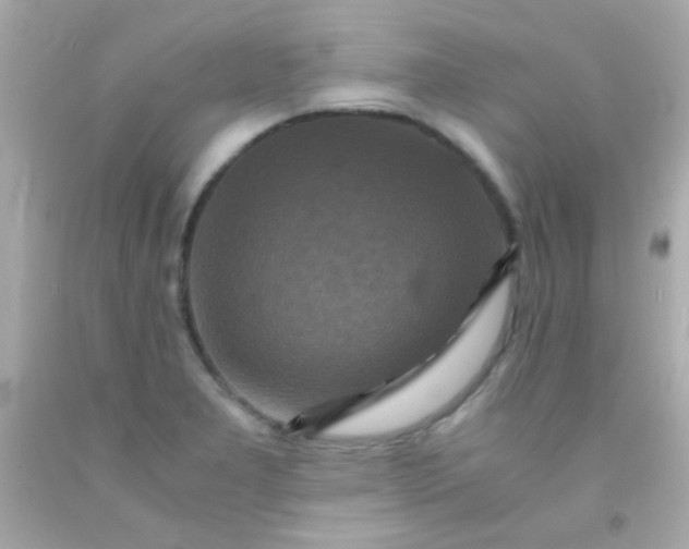 X0000091501277200709061915