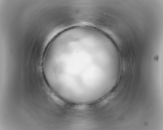 X0000091501278200709061915