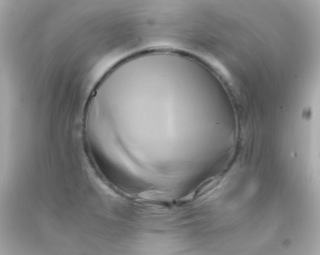 X0000091501279200709061915