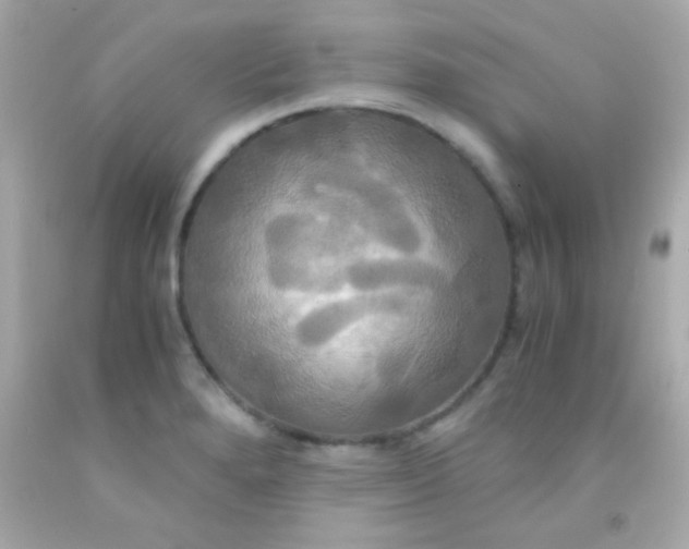 X0000091501280200709061915