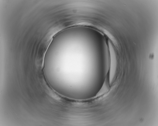 X0000091501281200709061915