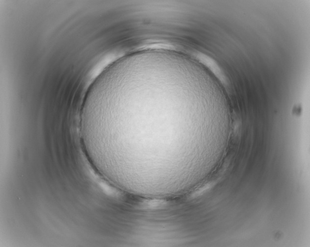 X0000091501282200709061915