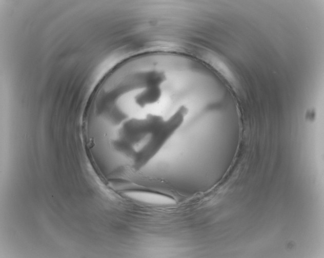 X0000091501283200709061915