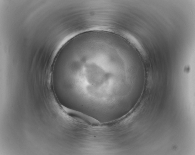 X0000091501284200709061915