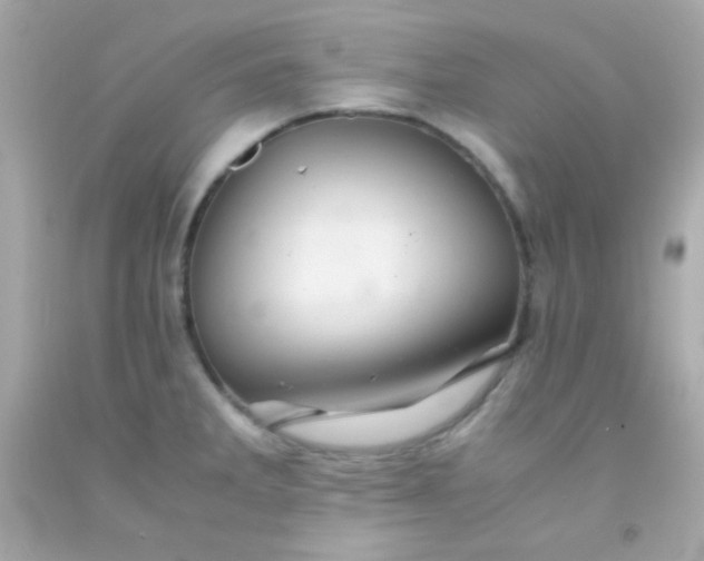 X0000091501285200709061915