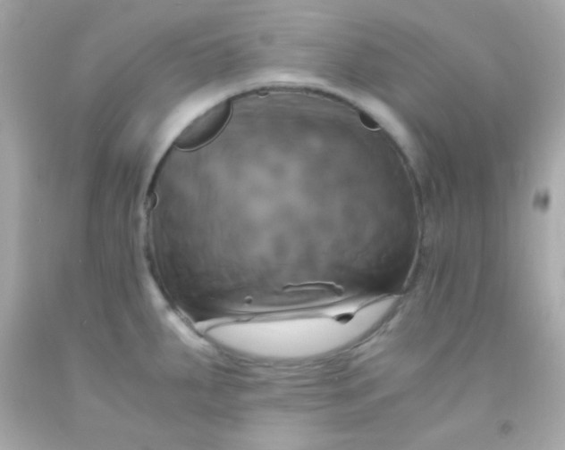 X0000091501287200709061915