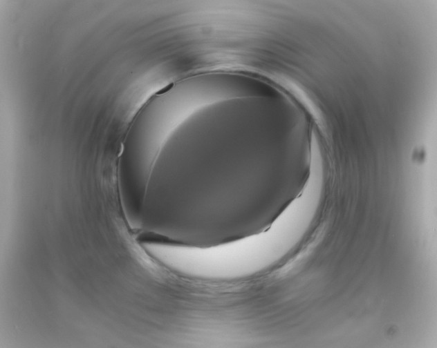 X0000091501289200709061915