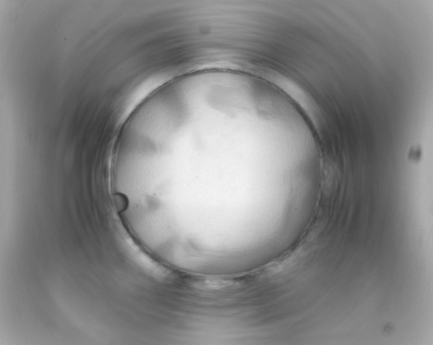 X0000091501290200709061915