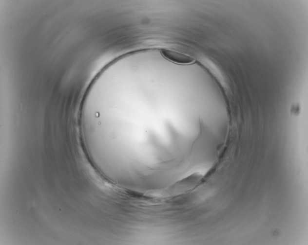 X0000091501291200709061915