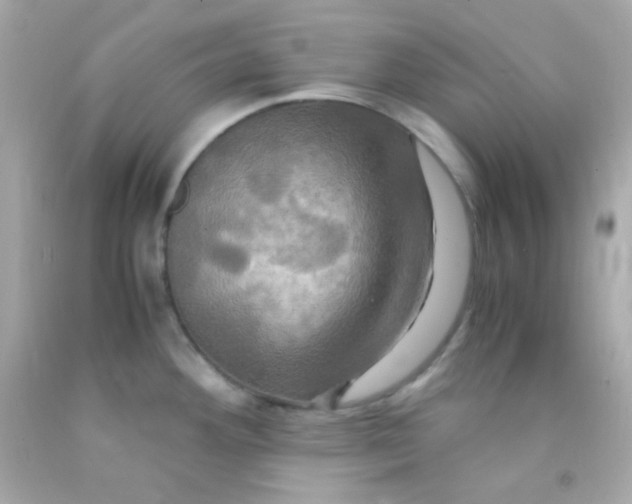 X0000091501292200709061915