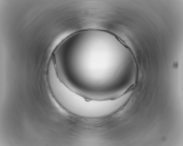 X0000091501293200709061915