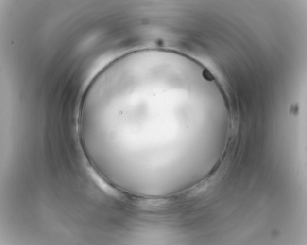 X0000091501294200709061915