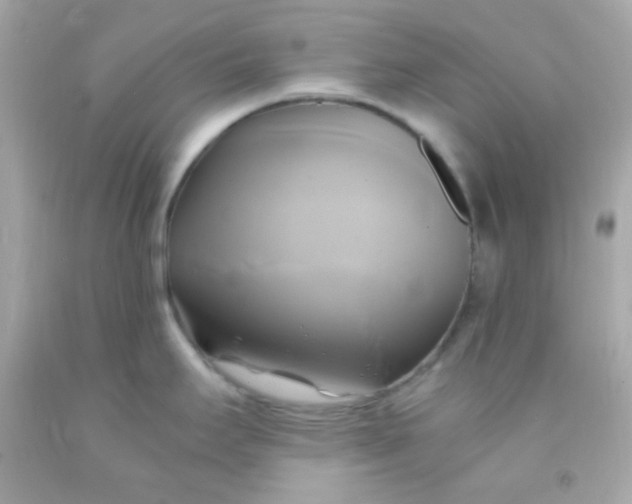 X0000091501295200709061915