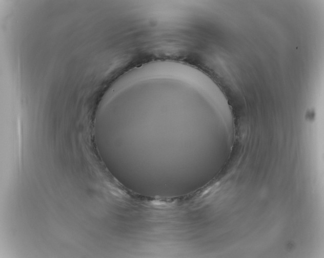 X0000091501297200709061914