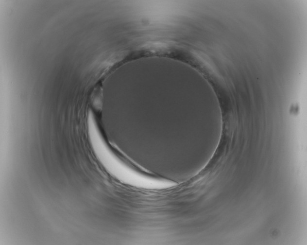 X0000091501298200709061914