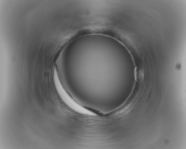 X0000091501300200709061914