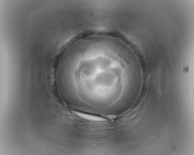 X0000091501301200709061914