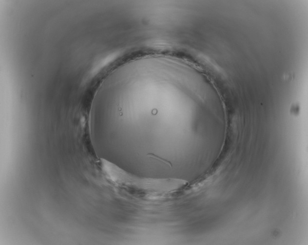 X0000091501302200709061914