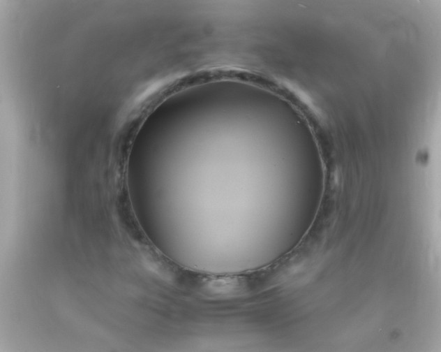 X0000091501303200709061914