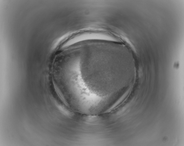 X0000091501304200709061914