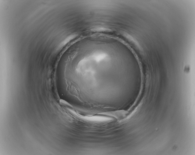 X0000091501305200709061914