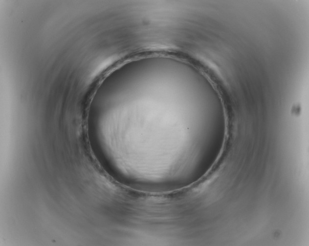 X0000091501306200709061914