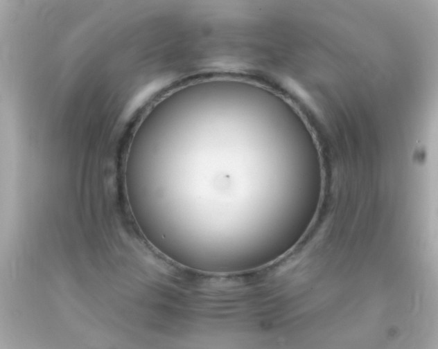 X0000091501307200709061914