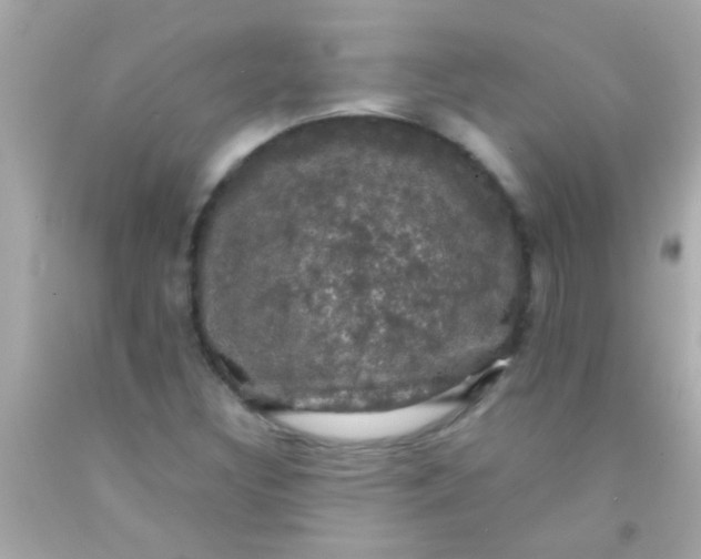 X0000091501308200709061914