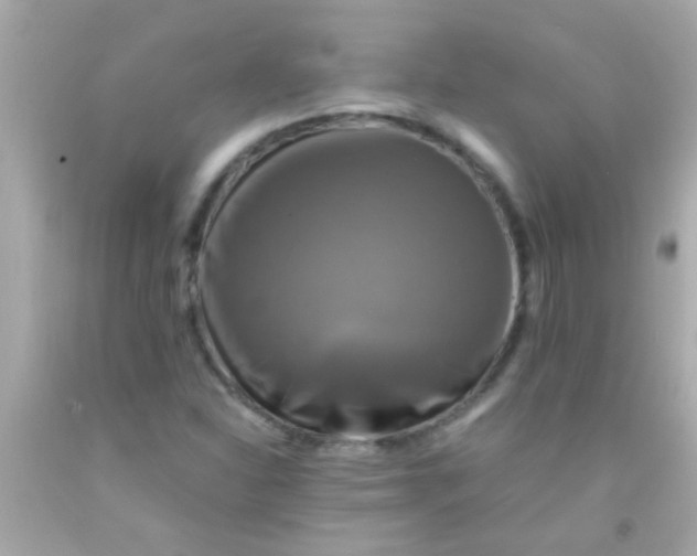 X0000091501310200709061914