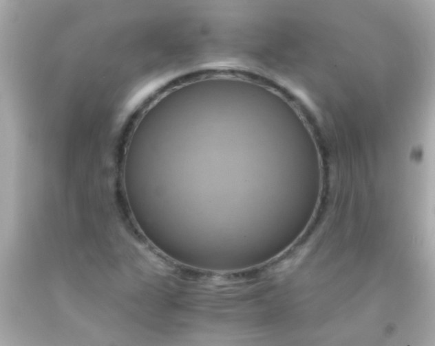 X0000091501311200709061914