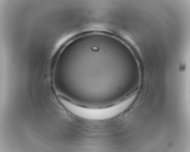 X0000091501312200709061914