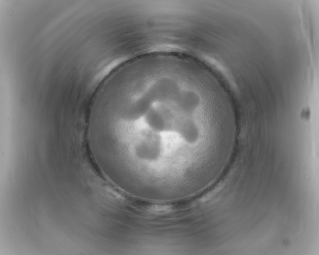 X0000091501313200709061914