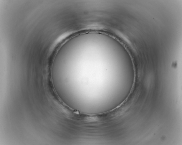 X0000091501315200709061914