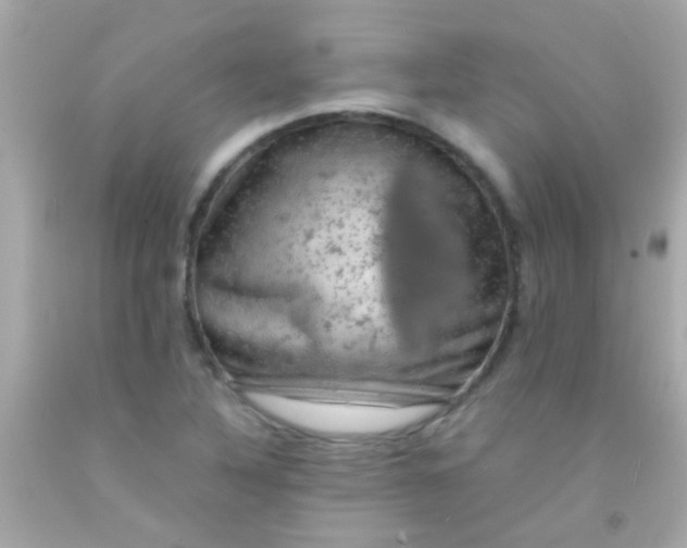 X0000091501316200709061914