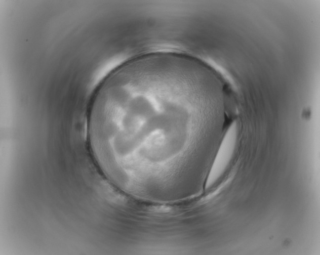 X0000091501317200709061914