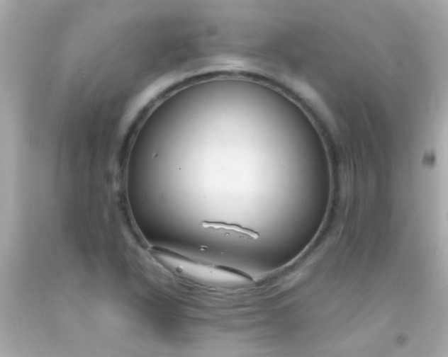 X0000091501318200709061914