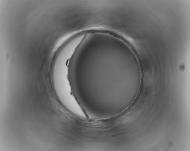 X0000091501319200709061914