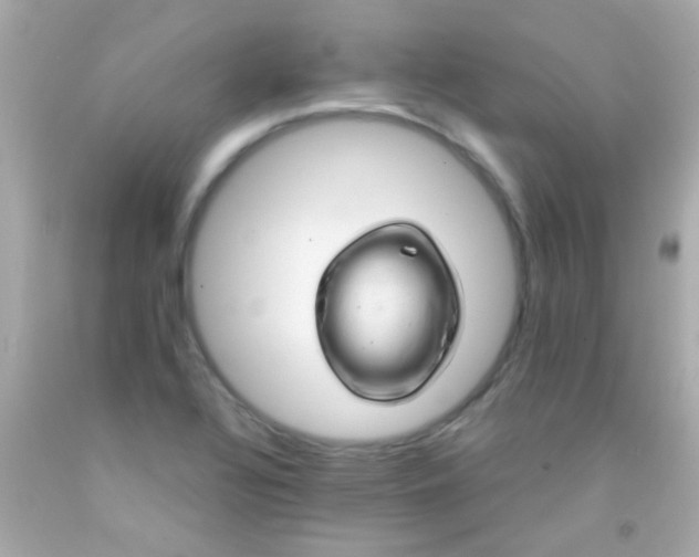 X0000091501320200709061914