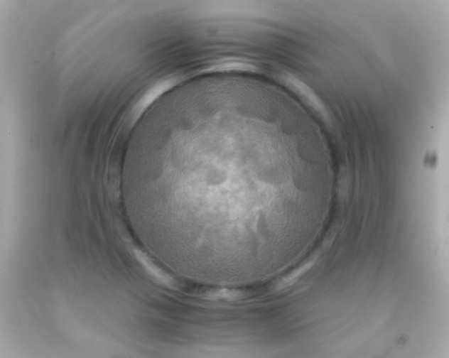 X0000091501321200709061914