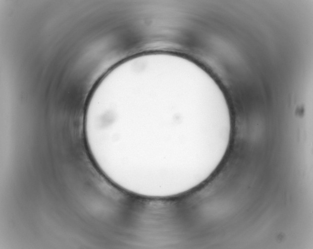 X0000091501322200709061914