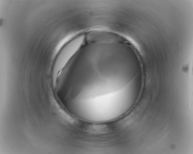 X0000091501325200709061914