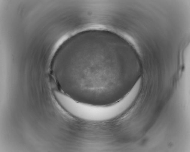 X0000091501326200709061914