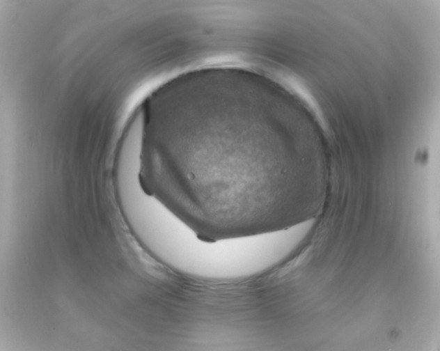 X0000091501328200709061914