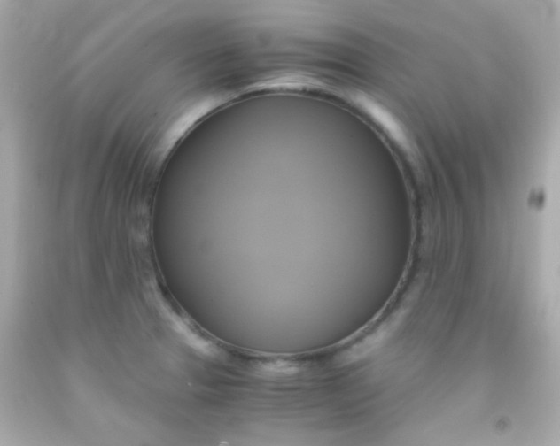 X0000091501329200709061914