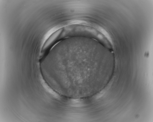 X0000091501330200709061914