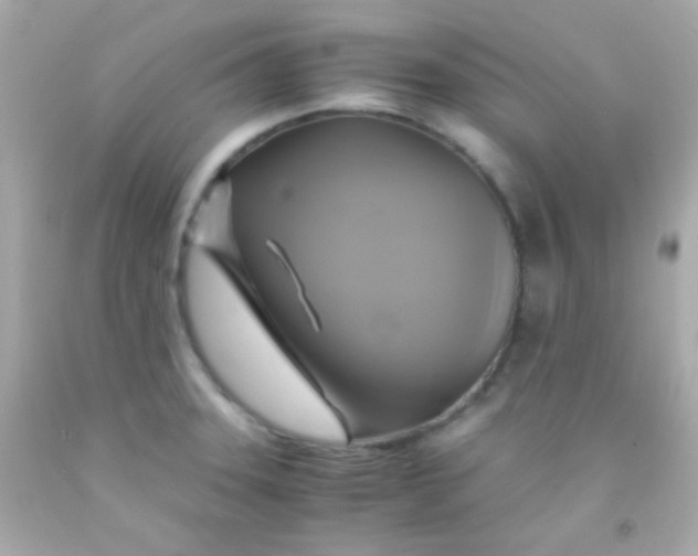 X0000091501331200709061914