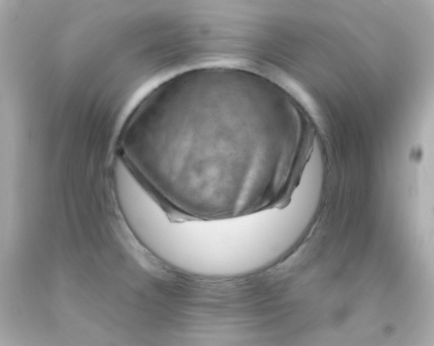 X0000091501332200709061914